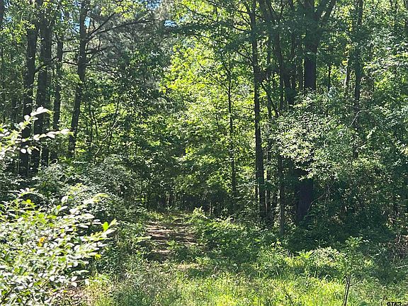 4th image of County Road 3153 S