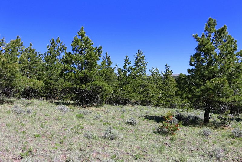 511 Crystal Falls Dr Westcliffe, CO, 81252 Apartments for Rent Zillow