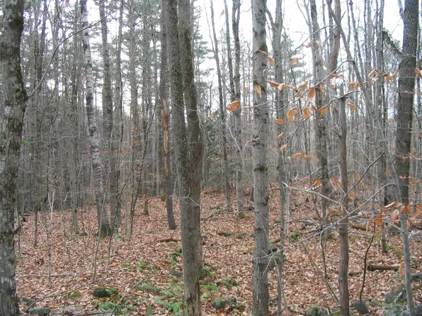 0 Old Chesham Road, Nelson, NH 03452