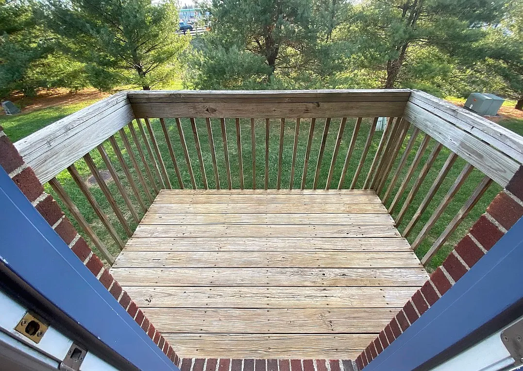 1 bed, 800 sqft, $1,300 — Photo 4