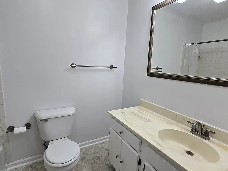 hall bathroom