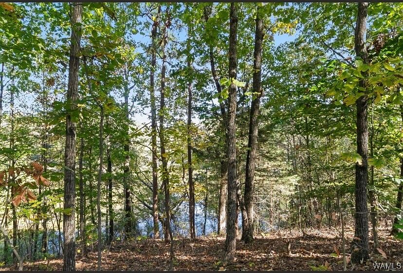 1st image of 4013 E Lake Dr