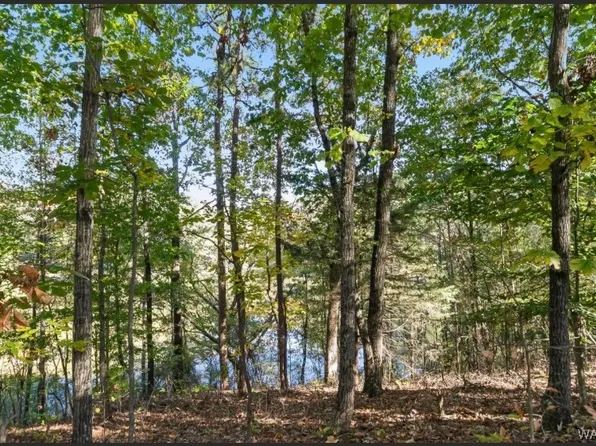 4013 E Lake Dr, Tuscaloosa, AL 35405