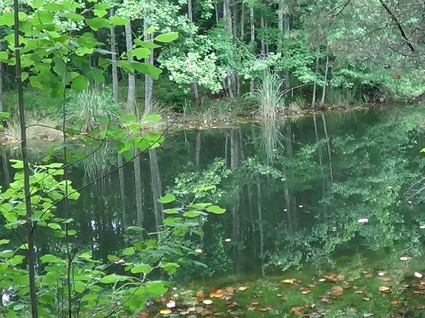 2815 Highway 1 S, Elgin, SC 29045