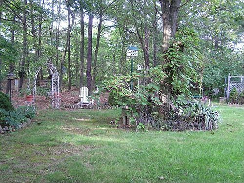 1 acre park like yard