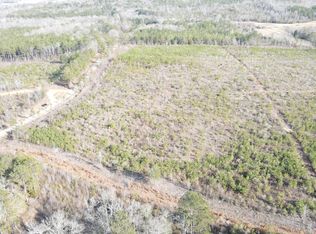 LOT 5 Springhill Rd, Millport, AL 35576