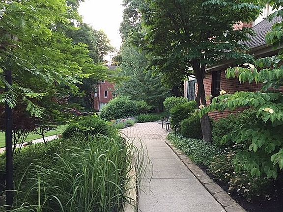 Front pathway and garden