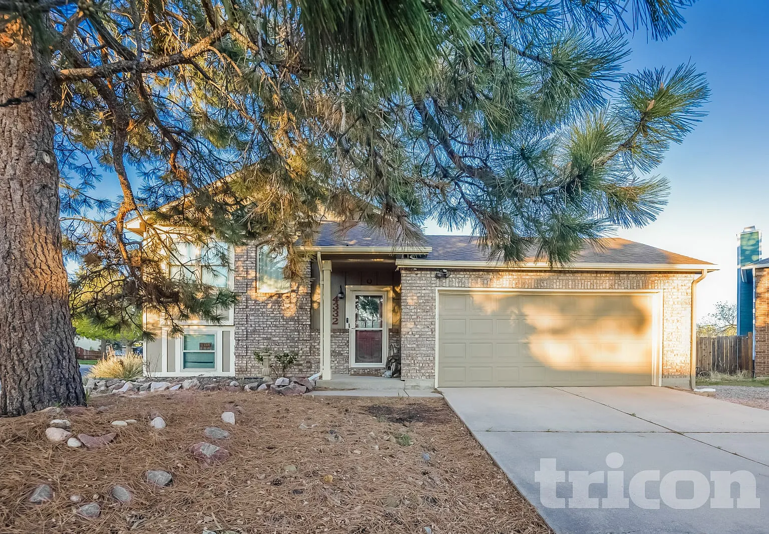 4332 Neal Court Colorado Springs CO — Photo 1