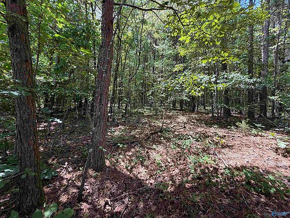 3rd image of LOT 4 County Road 592
