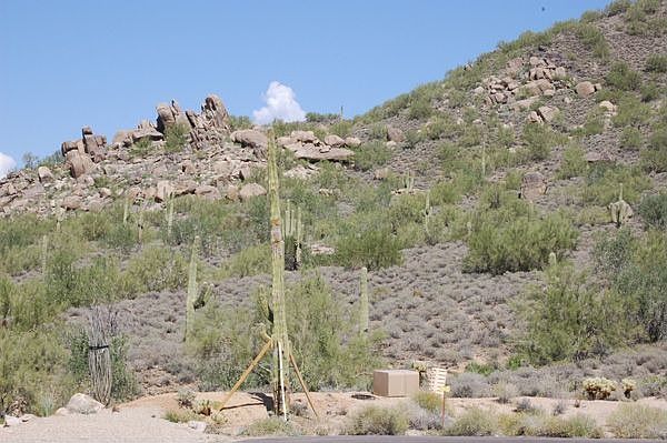 Lone Mountain Vista - 1