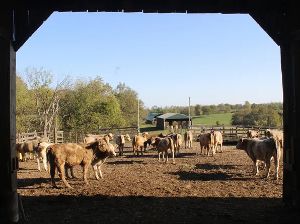 4031 Cynthiana Rd, Georgetown, KY 40324