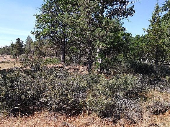 3rd image of 23553 Mountain Wood Ln