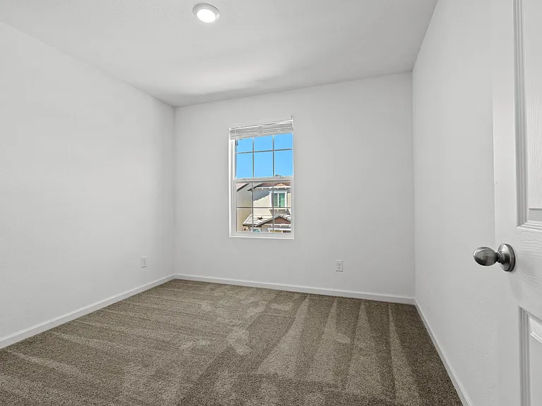4602 Ring Neck Ln — Photo 28