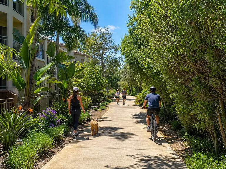 The San Diego River Trail & Bikeway