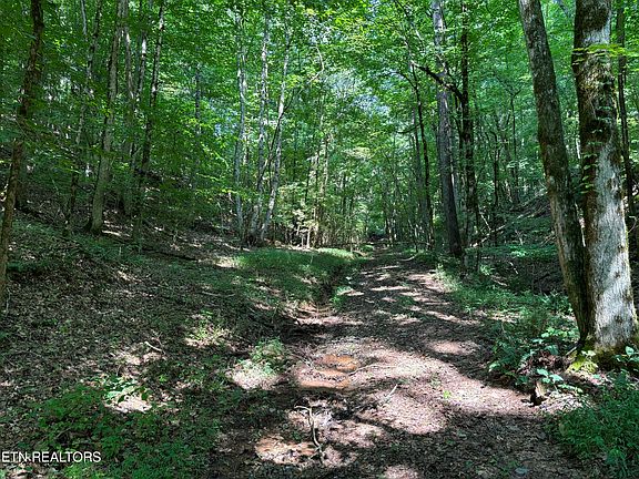 4th image of 1508 E Governor John Sevier Hwy