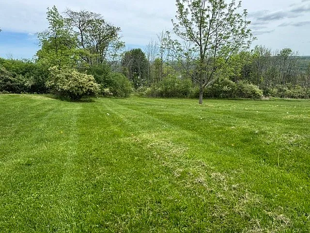 3 bed, 2.0 bath, 1400 sqft, $2,400 — Photo 4