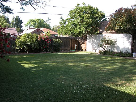 Back Yard and Garden Fence