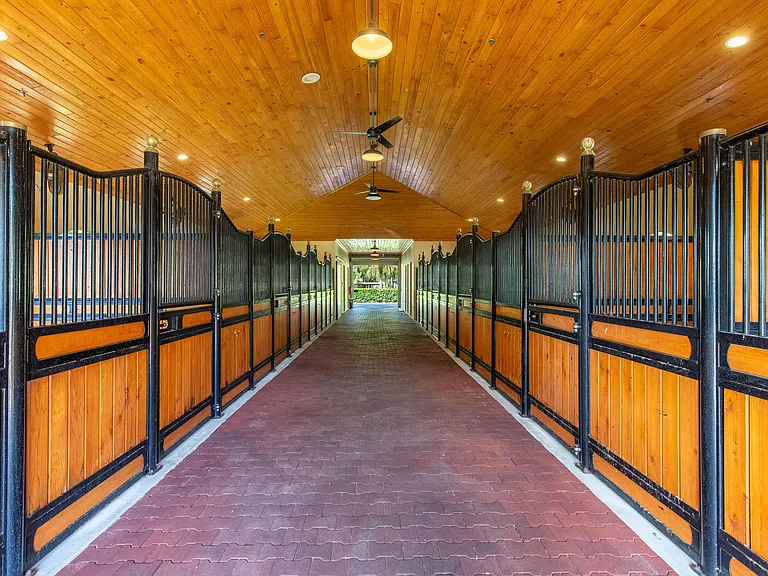 14943 Paddock Dr — Photo 12