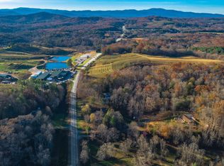 8833 Blue Ridge Dr, Blue Ridge, GA 30513