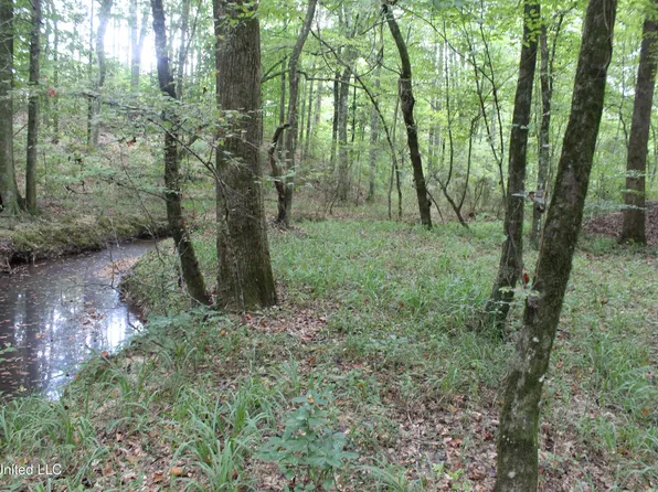 Hopewell Rd NE, Brookhaven, MS 39601