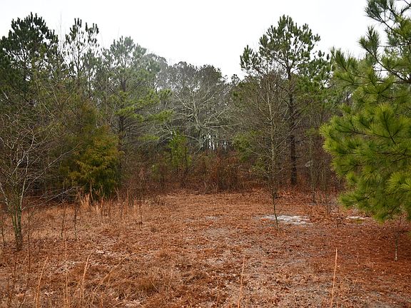 4th image of 330 Starling Ln #8