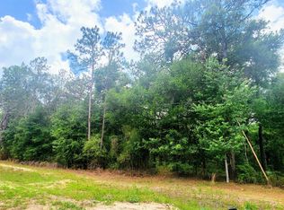 413 Pheasant Rd, Satsuma, FL 32189