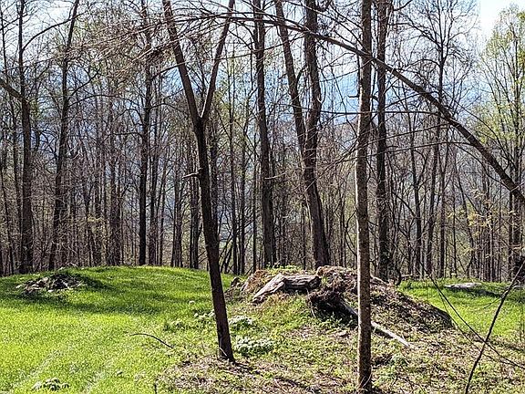 4th image of 841 Hemlock Falls Rd