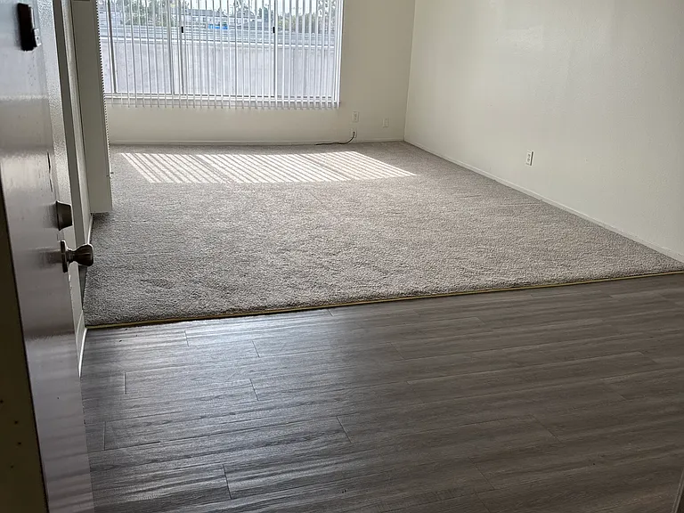 LIVING ROOM /DINING AREA