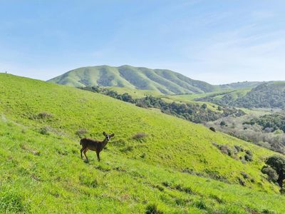 11798 State Route 1, Point Reyes Station, CA, 94956