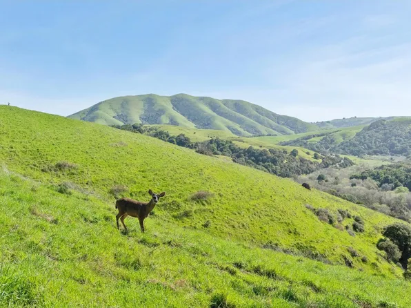 11798 Highway 1, Point Reyes Station, CA 94956