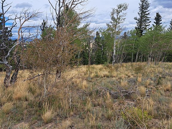 5th image of 1844 High Creek Road