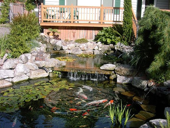 pond