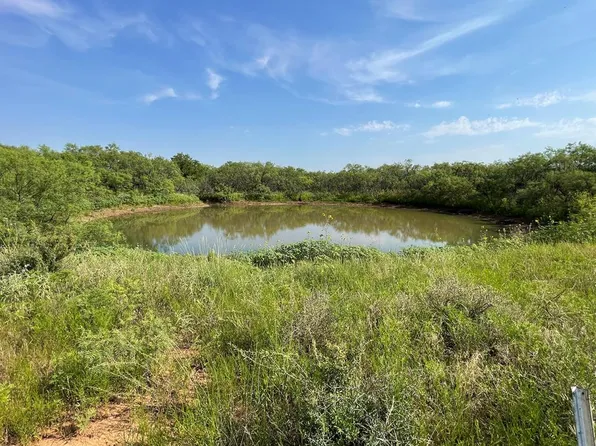 Pruitt Rd, Bronte, TX 76933