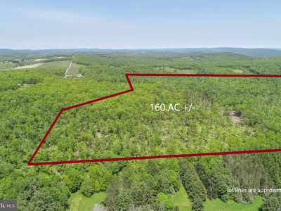 2026 Spring Lick Rd, Swanton, MD, 21561