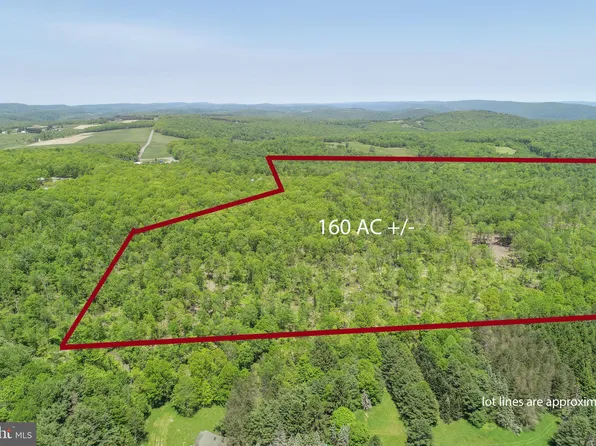 2026 Spring Lick Rd, Swanton, MD 21561