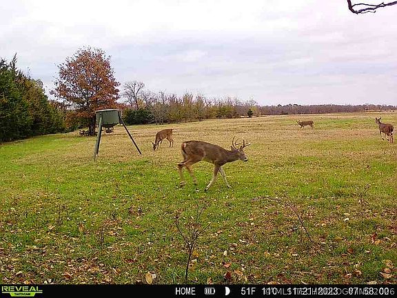 4th image of 3 Shady Grove Rd