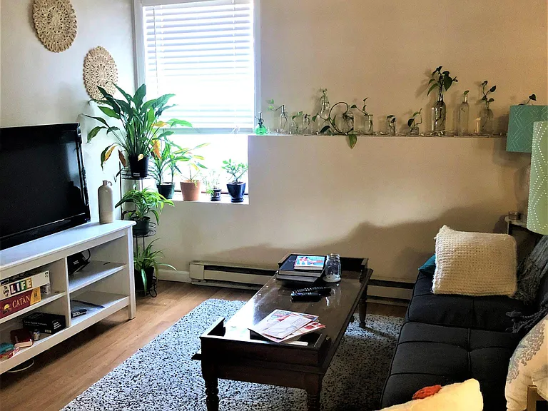 327 Remington St #112 — Photo 5