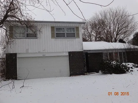 3002 Buttonwood Walk photo 1