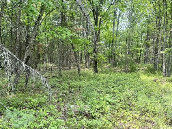 Split Rock Drive, Barryville, NY 12719