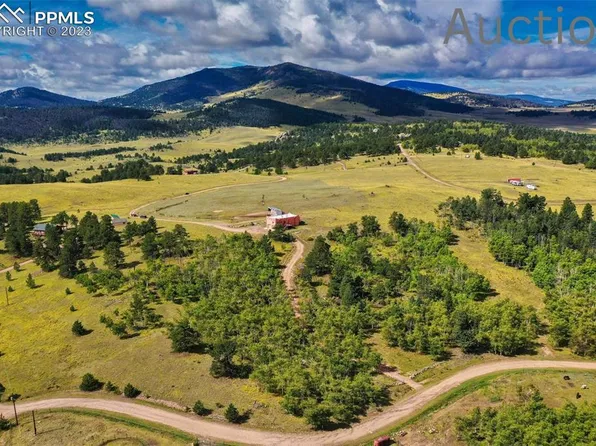 101 Elk Ln, Lake George, CO 80827