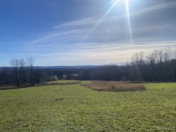 Vl Us 62 Hwy #10, South Dayton, NY 14138