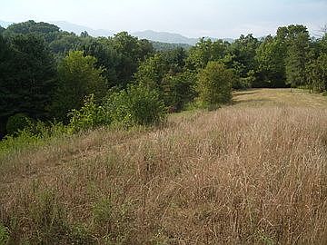 Pasture Land
