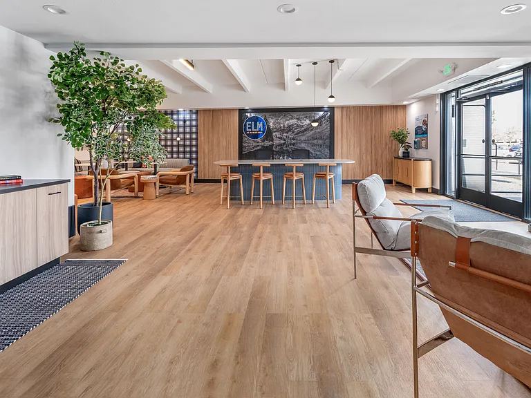 Elm at Panorama — Photo 33