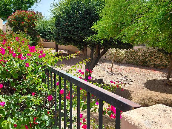 3rd image of 4592 E Red Mesa Dr