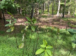 422 Red Oak Rd, Flinton, PA 16640