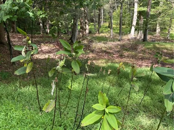 422 Red Oak Rd, Flinton, PA 16640