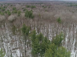 0 N Trl LOT 19, Redfield, NY 13437