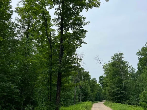 56730 Lantz Rd, Foster City, MI 49834