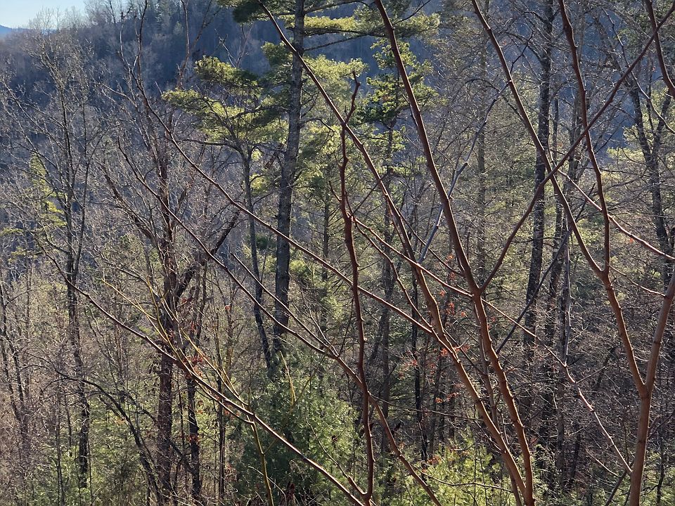 2nd image of Fox Trot Rd