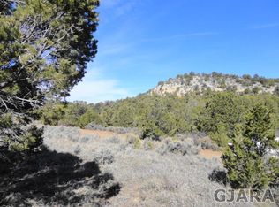 20130 Bobs Rd, Glade Park, CO 81523
